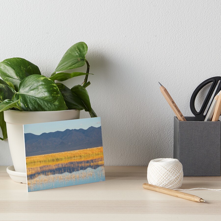 Northern Nevada Lake Art Board Print