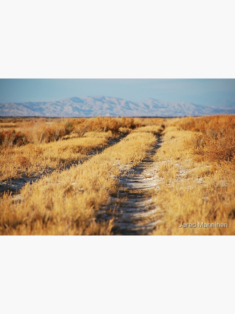 Road to Nowhere by JaredManninen