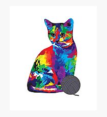 Cat Playing With Ball of Yarn Photographic Print