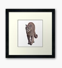 Florida panther or cougar digital painting on white background Framed Print
