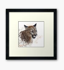 Florida panther or cougar digital painting Framed Print