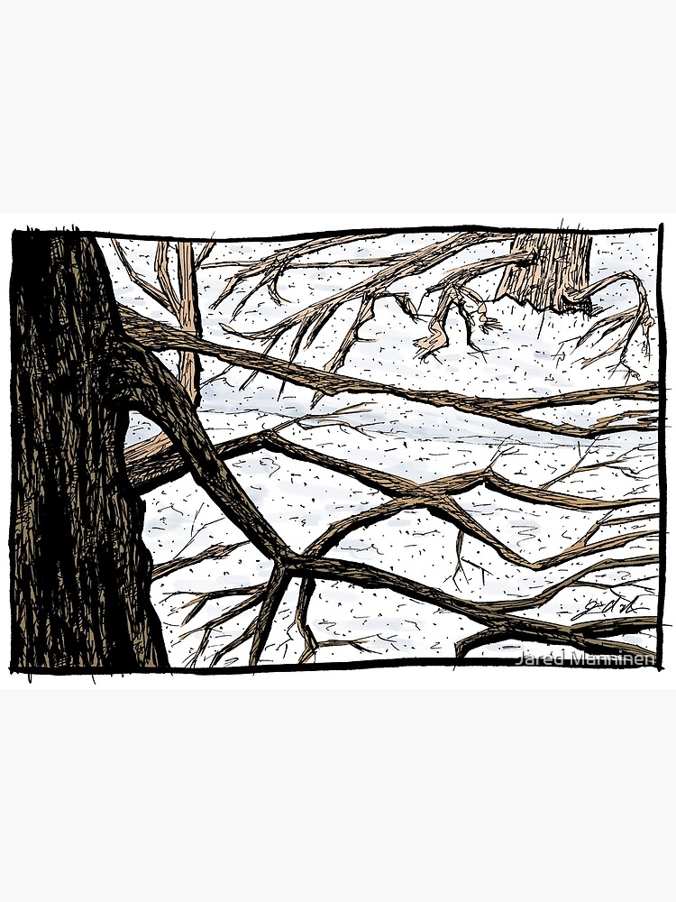 Tree Branches in a Snowscape by JaredManninen