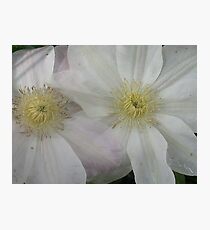 Paper thin Photographic Print