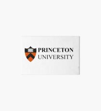 princeton Art Board