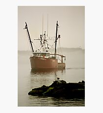 Lindsay L Photographic Print
