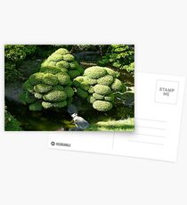 SF Japanese Tea Garden Study 6 Postcards