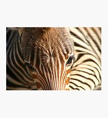 Baby fur Photographic Print