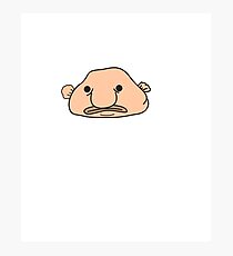 Funny Blobfish Perfect for Fish Lovers Big blob fish face Photographic Print