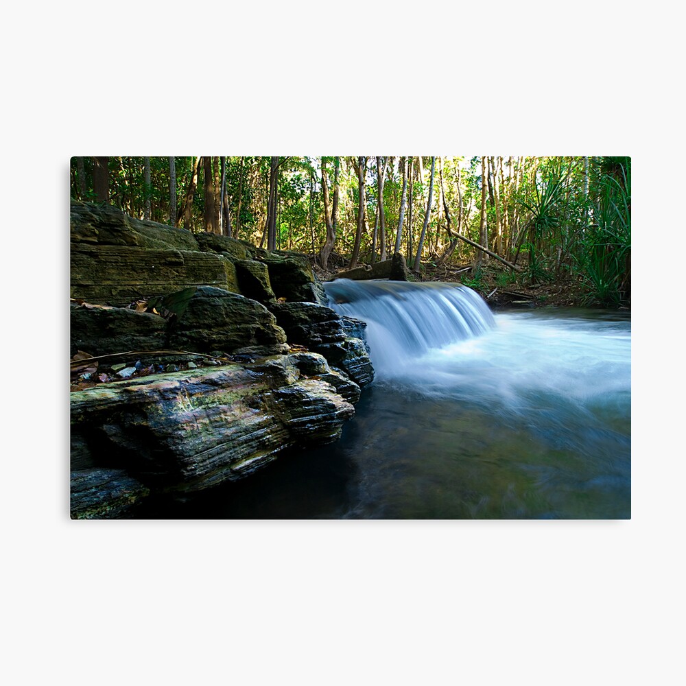 Berry Springs Canvas Print