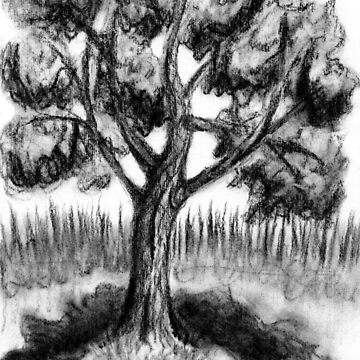 Black and white Maple Tree in Charcoal | Poster