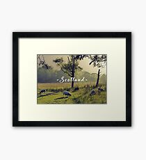 Summertime Scottish Scenery Framed Print