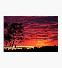 night approaching Photographic Print