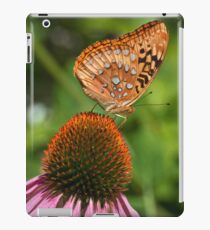 Butterfly on Cone Flower iPad Case/Skin
