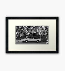 16x9 BW 001 Framed Print