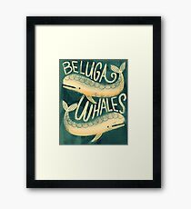 Beluga Whales Framed Print