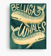 Beluga Whales Canvas Print