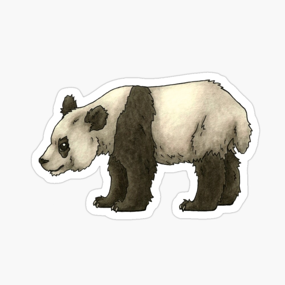 Giant Panda Illustration Sticker