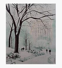 Central Park in the snow Photographic Print
