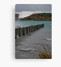 Untitled Canvas Print