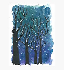 Snowy Trees Photographic Print