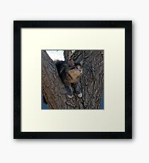 Meet Precious Framed Print