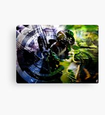 Insect Canvas Print