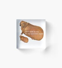 Don't talk to me or my son ever again - geek Acrylic Block
