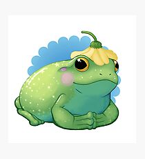 Froschkönig Fotodruck