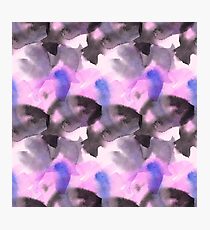 Pink grey blue Photographic Print