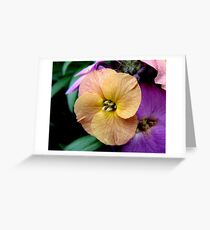 Yellow Wallflower Greeting Card