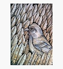 Feather pattern Photographic Print