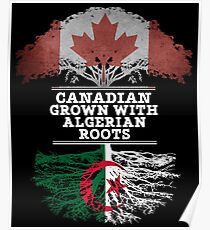 Kanadisches gewachsenes mit algerischem Wurzel-Geschenk für Algerier von Algerien - Algerien-Flagge in den Wurzeln Poster