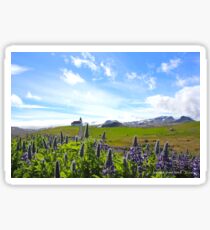 Ingjaldscholskirkja - isolated church - Rif Iceland Sticker