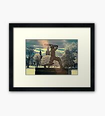 The Don Framed Print