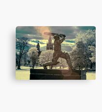 The Don Canvas Print