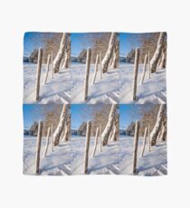 Rural winter scene Scarf