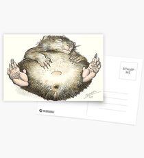 Lazy Wombat Postcards