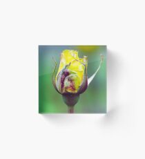 Yellow Flower Acrylic Block