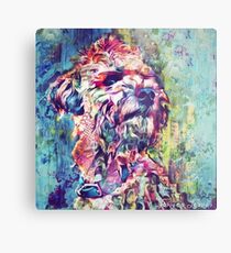 Maisey Metal Print