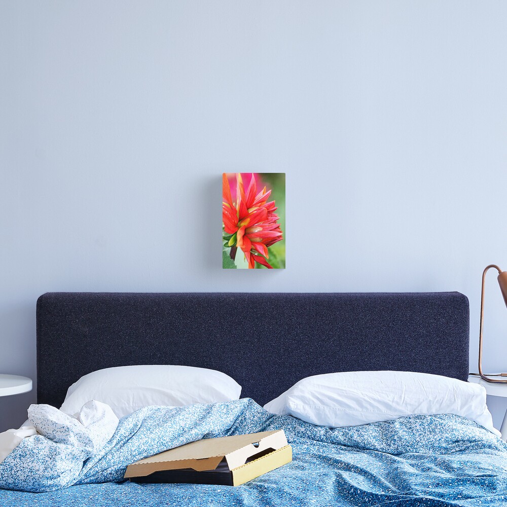 Colourburst Canvas Print