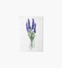 Lavender Dream Art Board Print