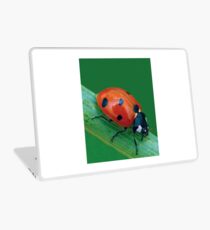 LADYBUG 30 Laptop Skin