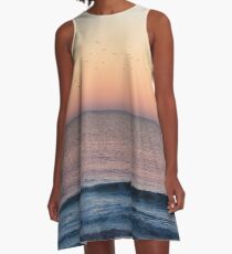 Flock of Seagulls A-Line Dress