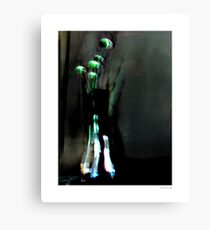 'Onion Blossoms' Canvas Print