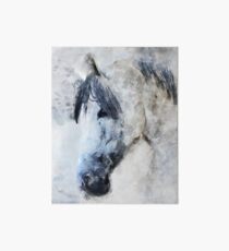Pferdeaquarell Galeriedruck