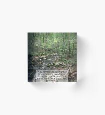 Psalm 16:11 - Finding our Path Acrylic Block