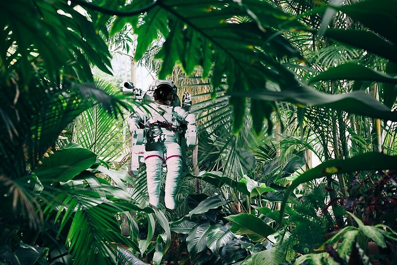 space jungle' by DeniseSoto.
