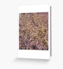 Snowing Sakura Petals in Spring Greeting Card