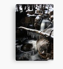 Iceage Canvas Print
