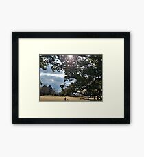 Ancient Cluster of Trees Planted by an Emperor Framed Print